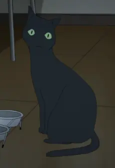 Tako