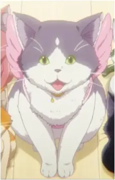 Chimera