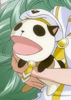 Maa